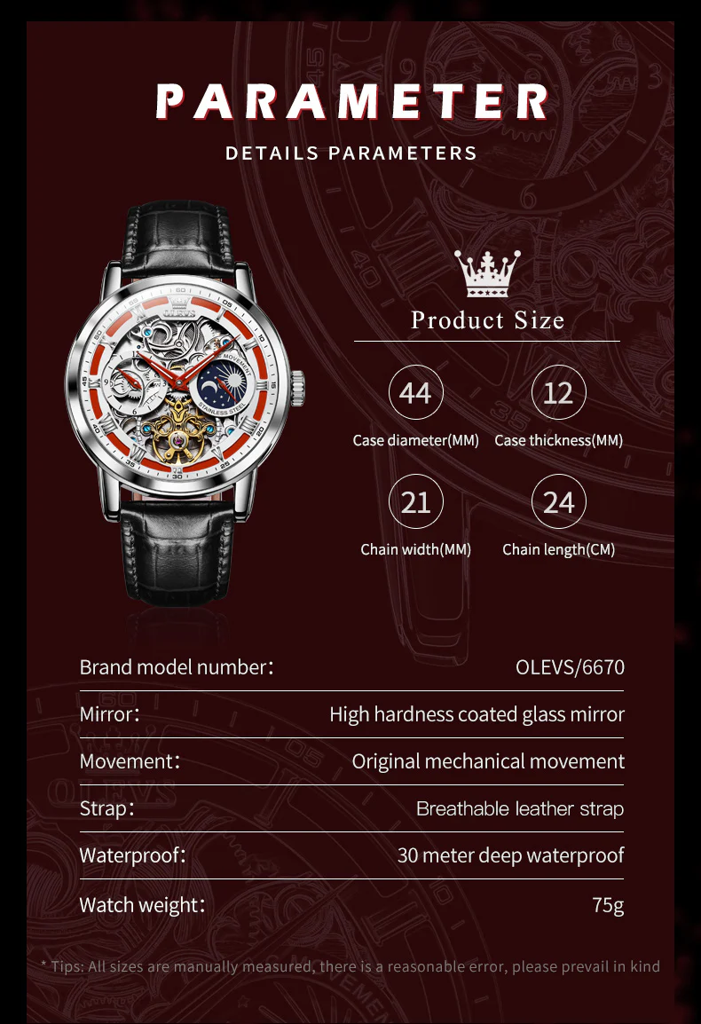 OLEVS 6670 Skeleton Watches for Mens Automatic Mechanical Self Winding Tourbillon Luxury Dress Wrist Watches Waterproof Luminous - Image 31